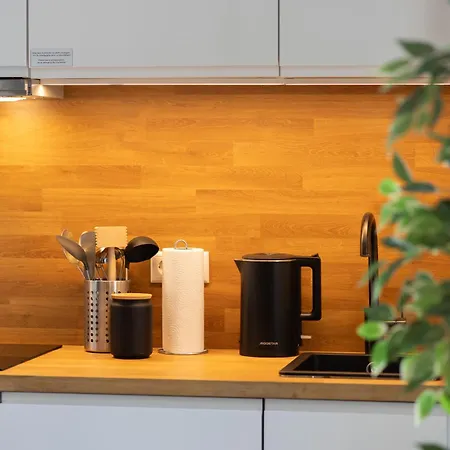 Black Diamond I Zentrum I Parken I Kueche I Wlan I Apartment Magdeburg