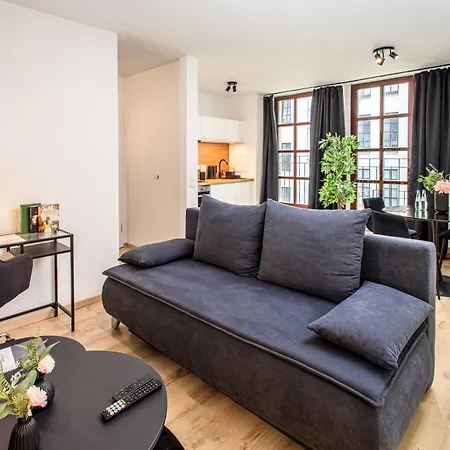 Black Diamond I Zentrum I Parken I Kueche I Wlan I Apartment Magdeburg